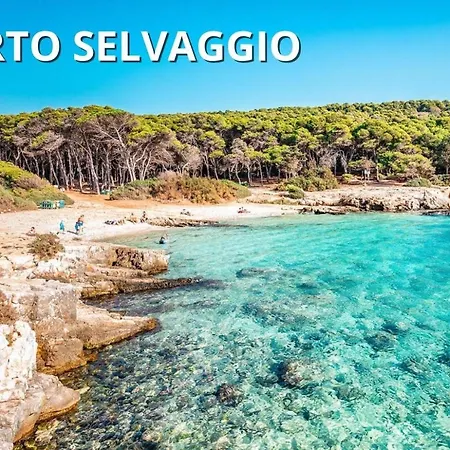 Apartment Casa Serena - Rifugio Romantico Con Vista Mare Santa Maria al Bagno